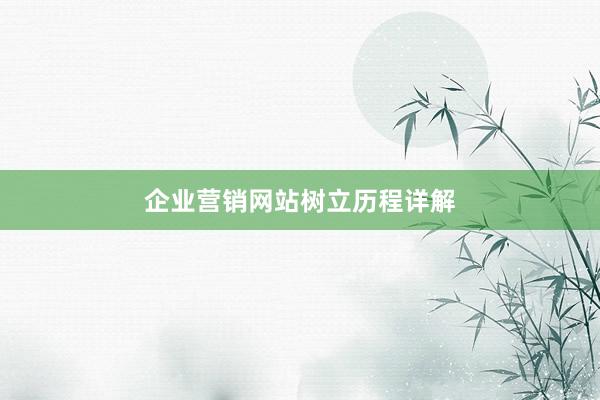 企业营销网站树立历程详解